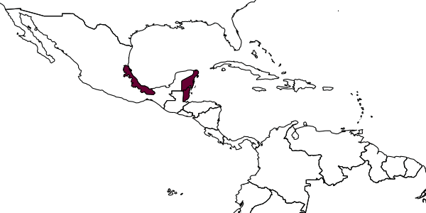 map of Epeolus nomadiformis     Onuferko, 2019